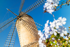 Histórico molino de viento en el casco antiguo de Palma